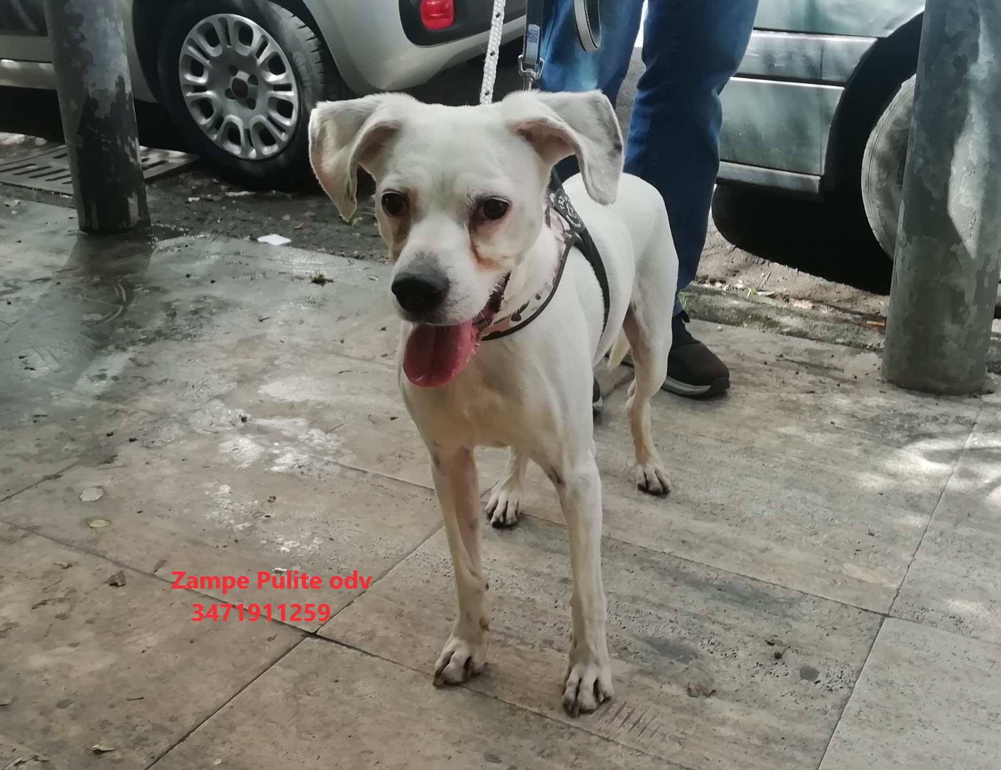 Agostino 21.06.2023 n. 2