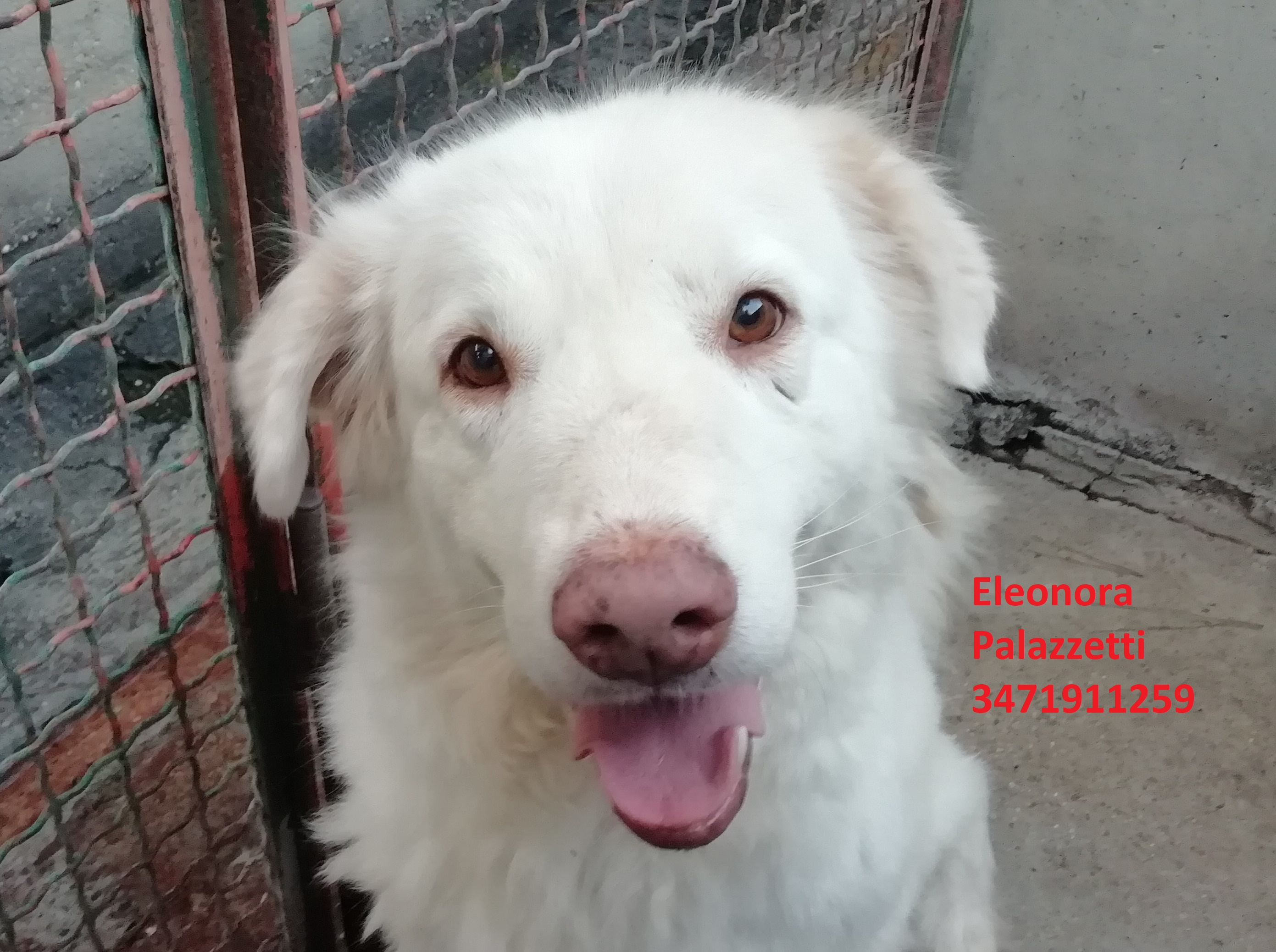 Beba 24.9.2020 n. 3