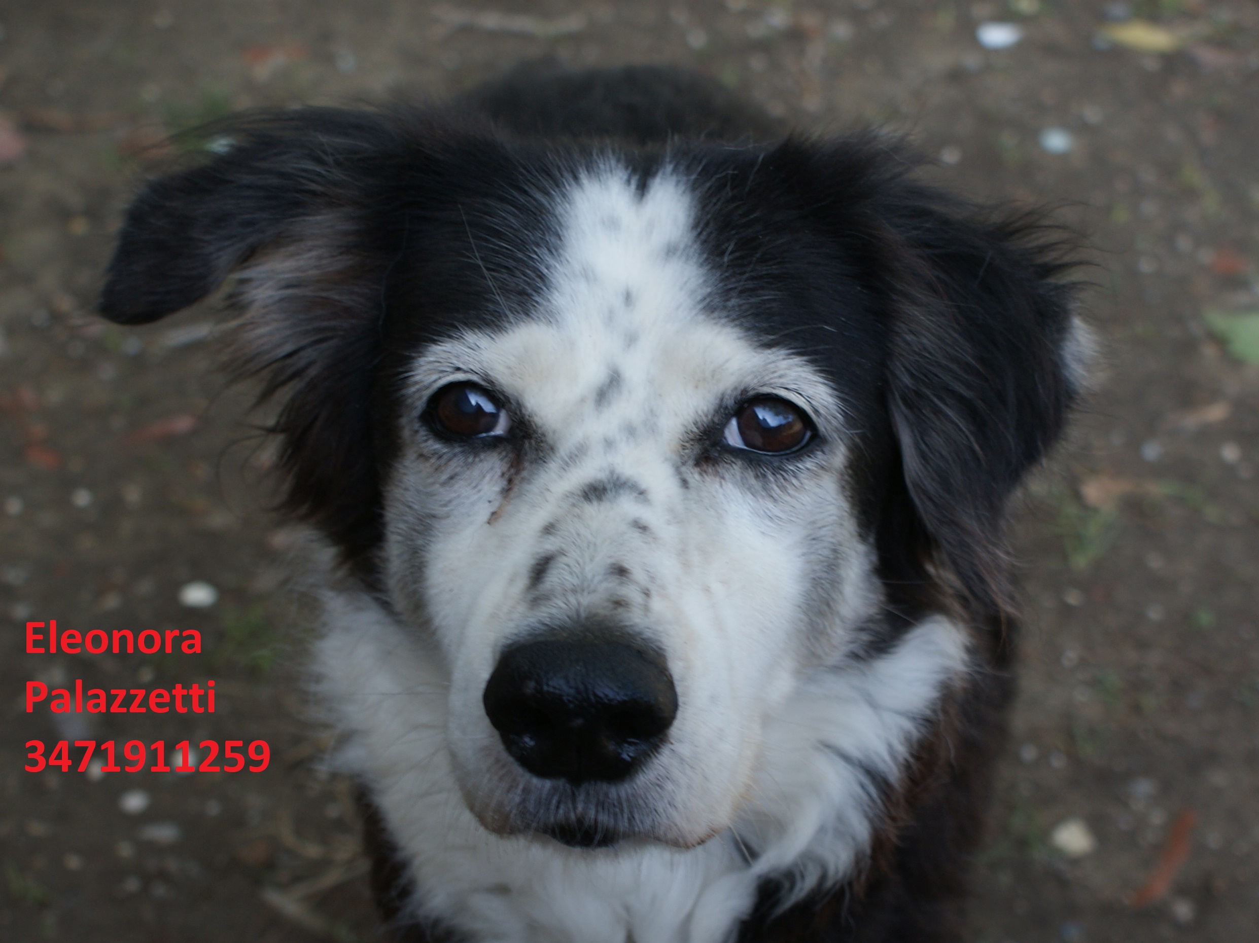 Birba 24.9.2020 n. 3