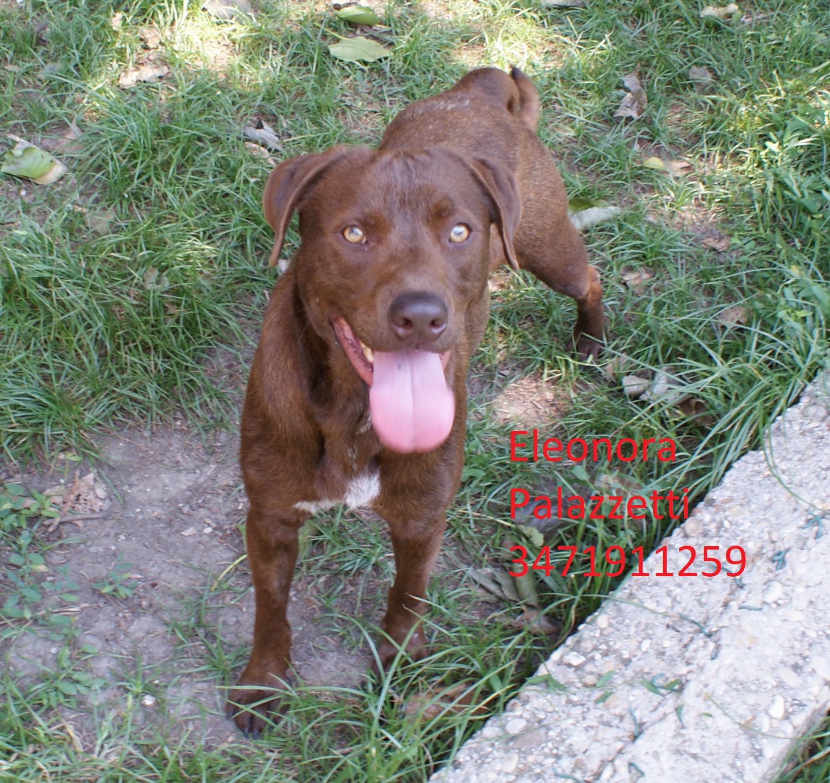 Casper 20.6.2018 n. 7