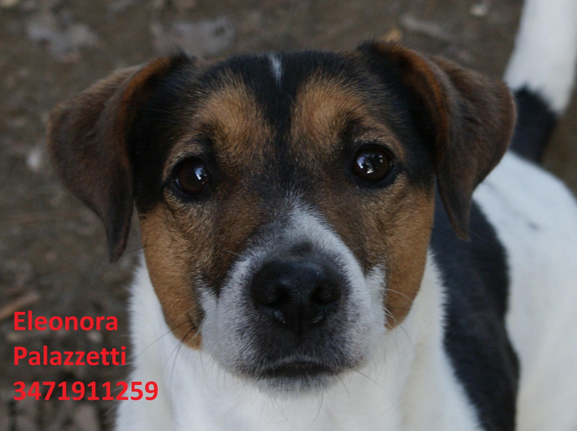 Chase 5.11.2020 n. 6
