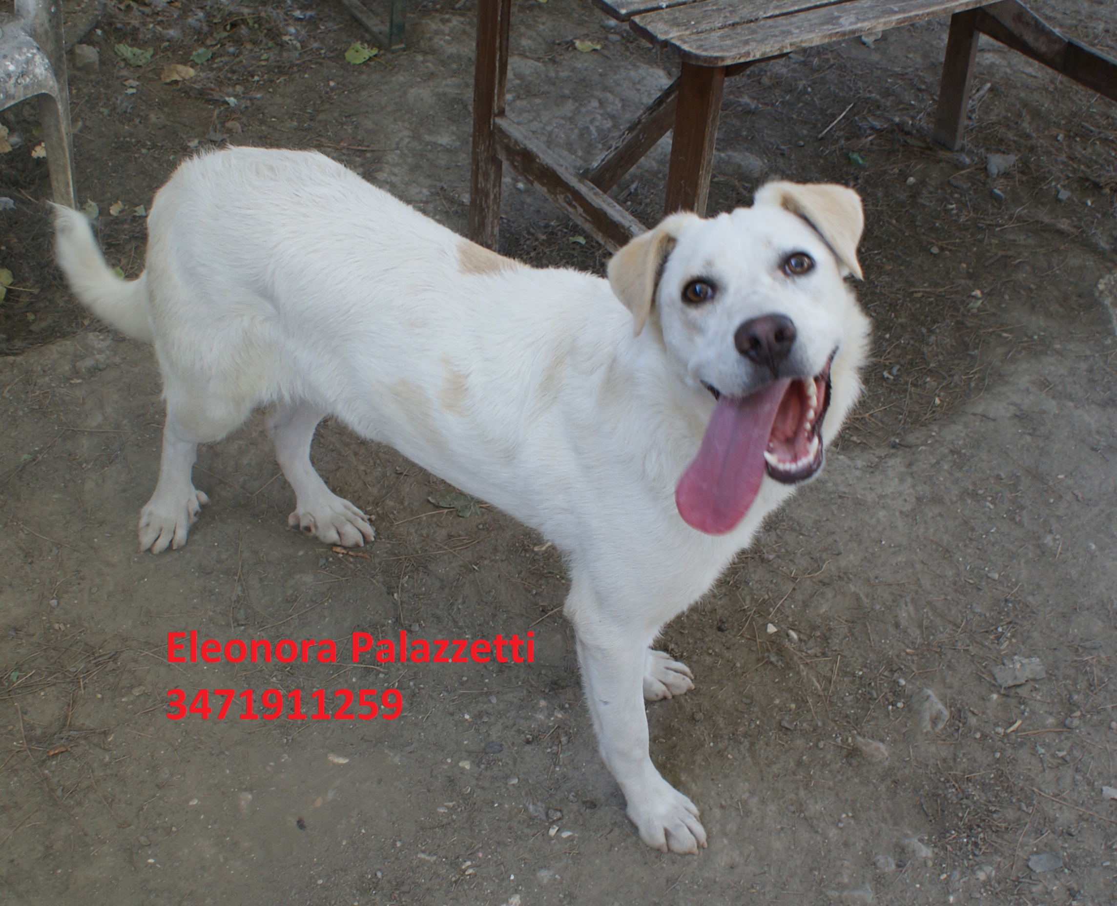Consuelo 29.6.2020 n. 3