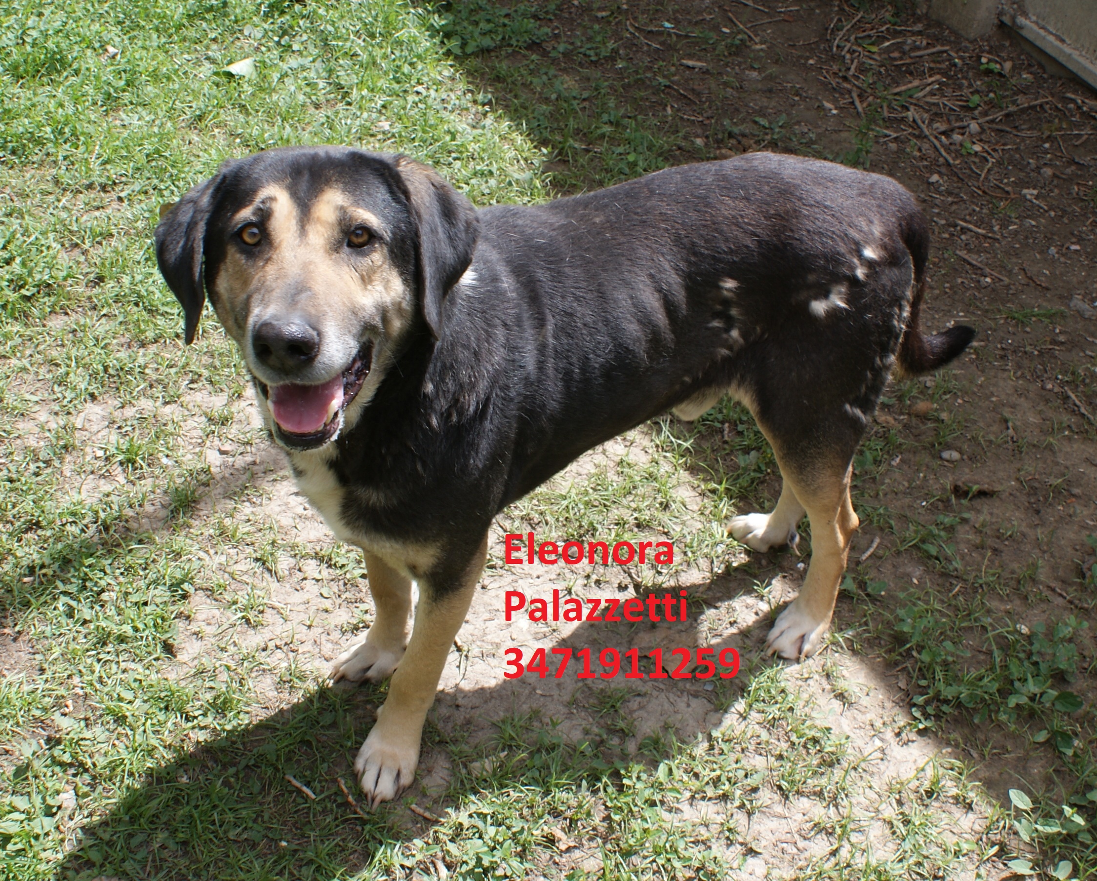 Gus 14.5.2019 n. 8