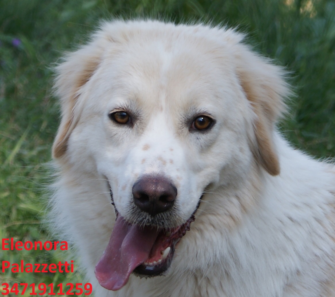 Jenny 18.4.2019 n. 2