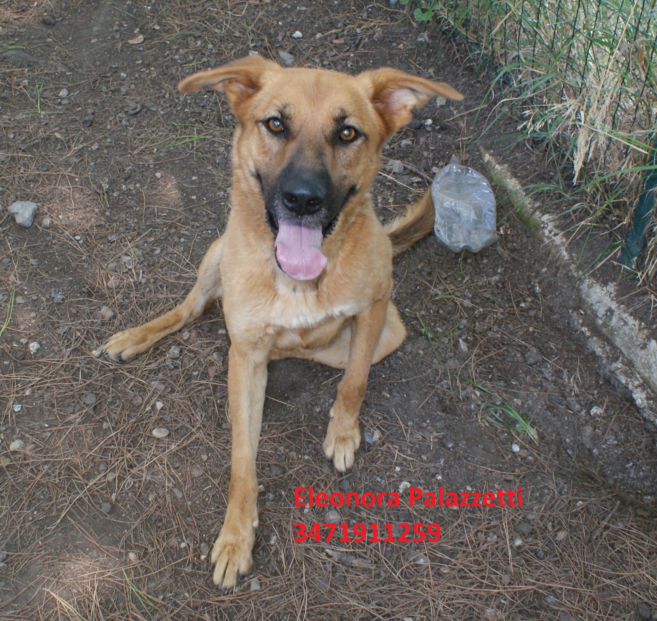 Kreta 5.9.2018 n. 2