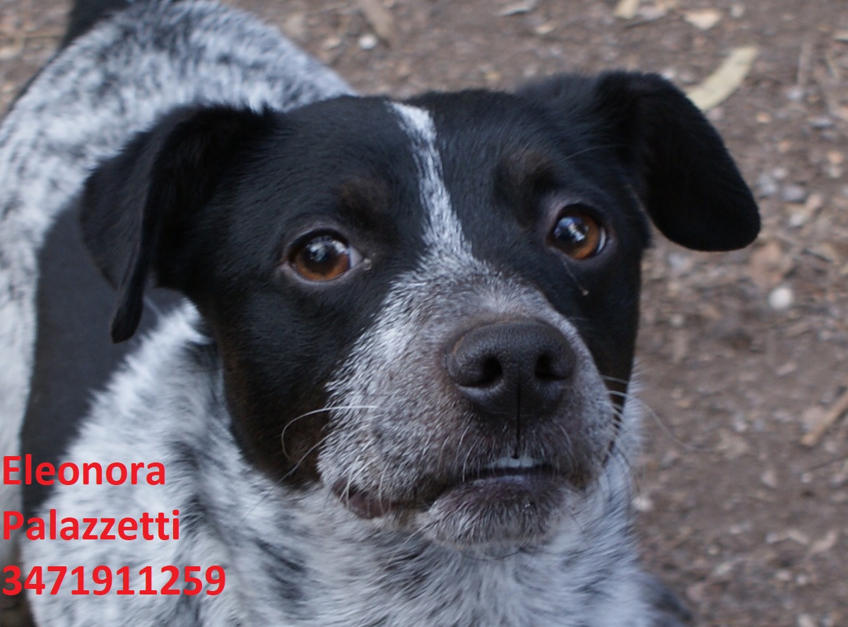 Martino 19.2.2020 n. 3