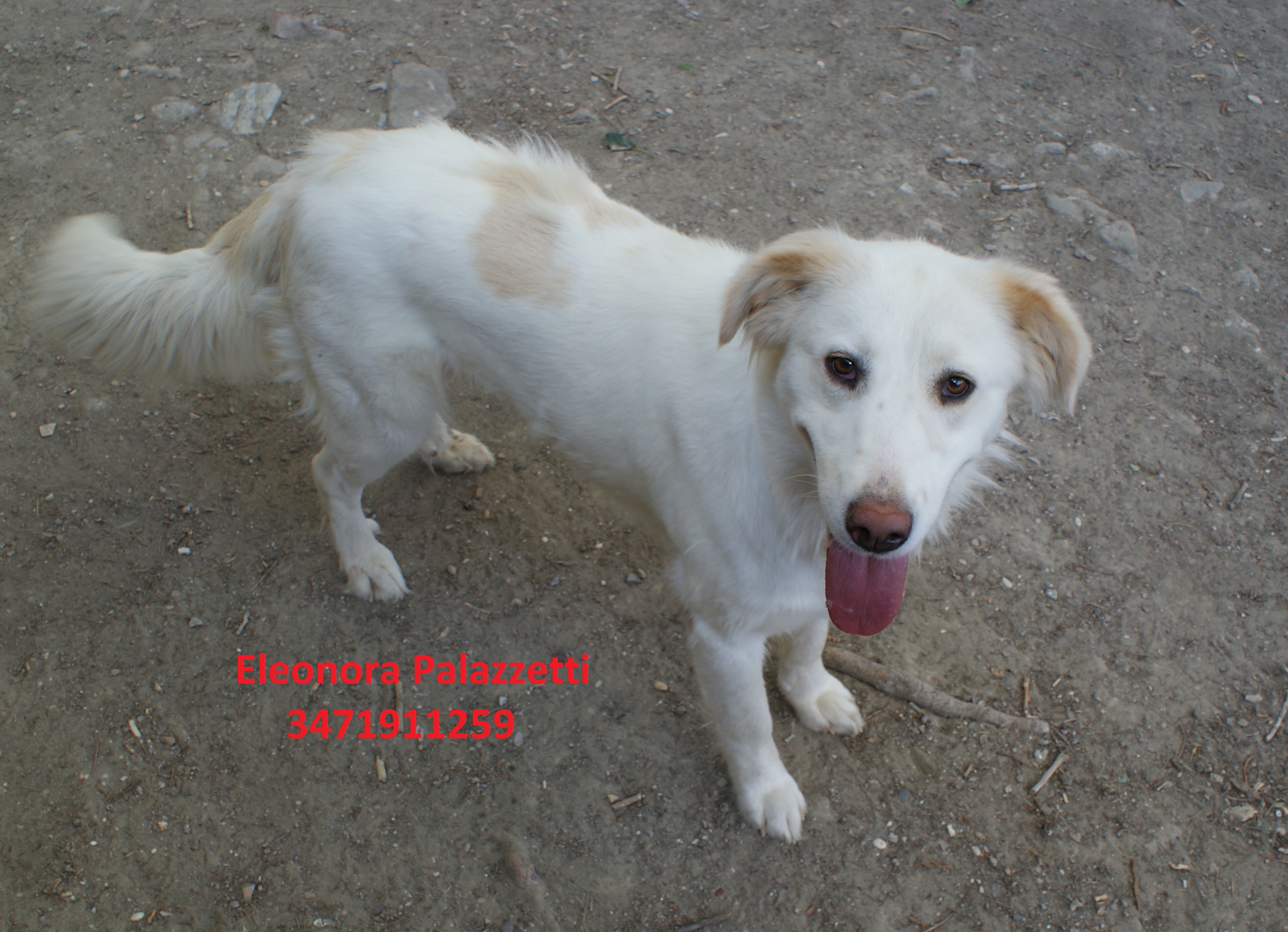 Molly 24.8.2020 n. 3