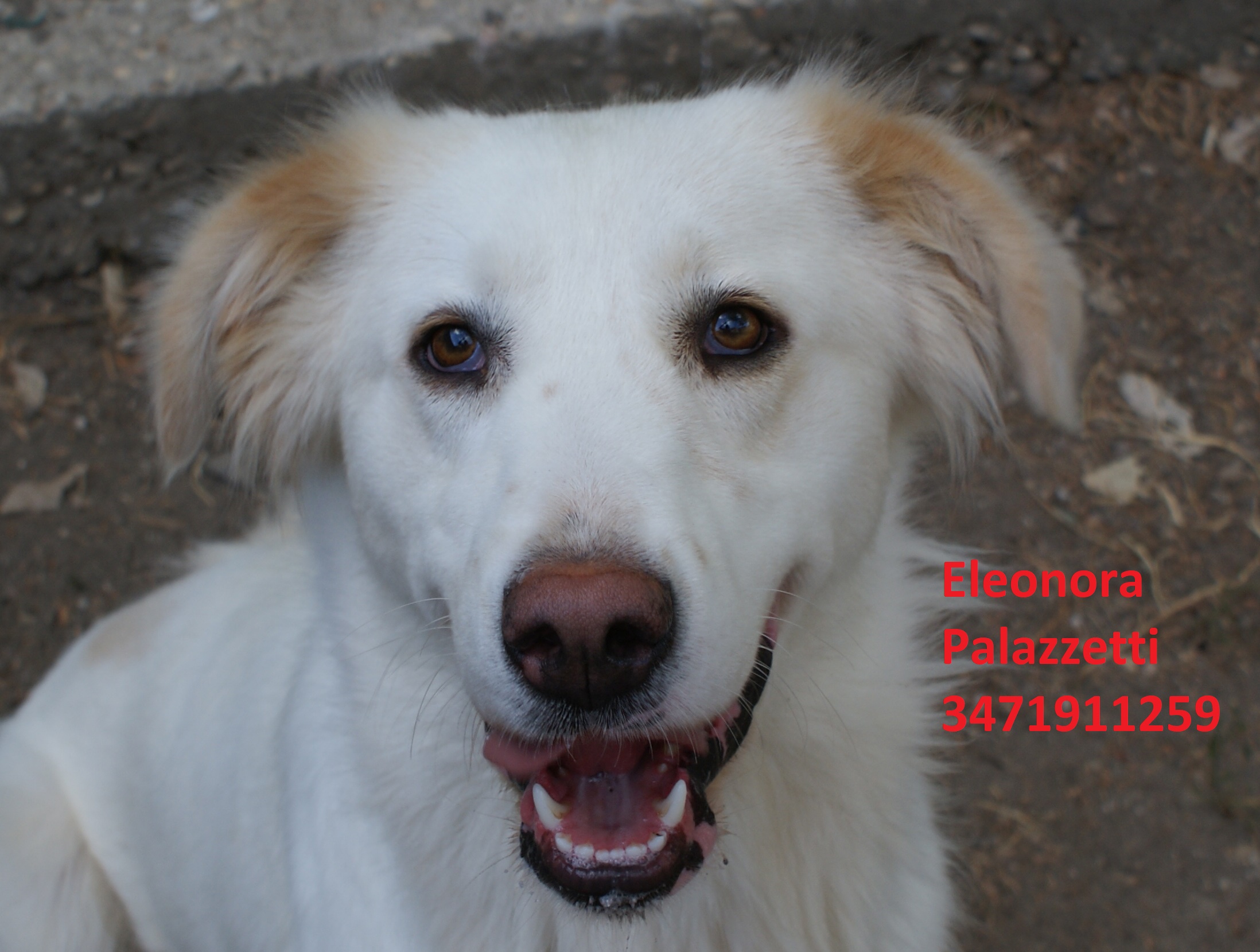Molly 24.8.2020 n. 6
