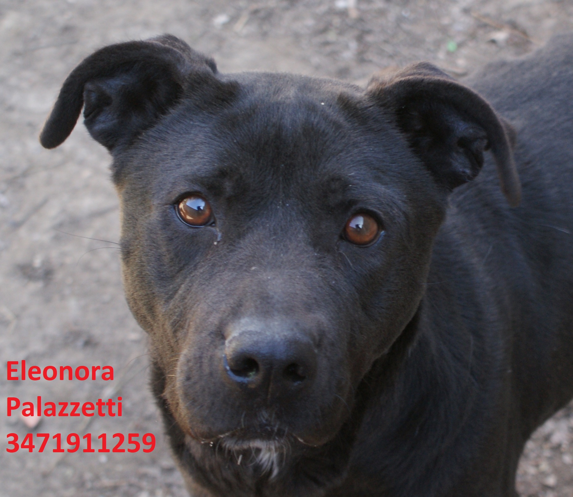 Regina 12.3.2019 n. 2