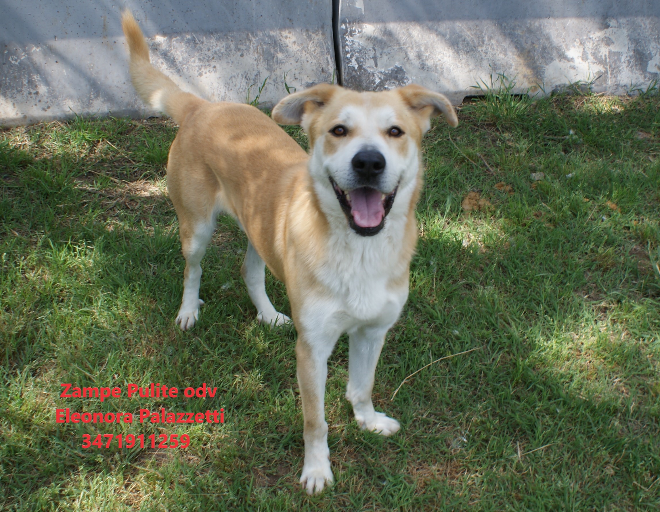 Baileys 9.05.2023 n. 8
