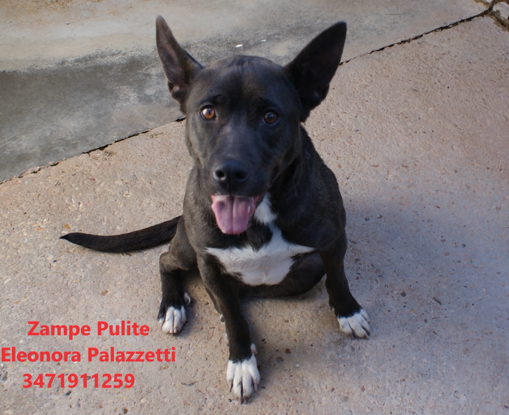 Ludmilla 17.03.2023 n. 6