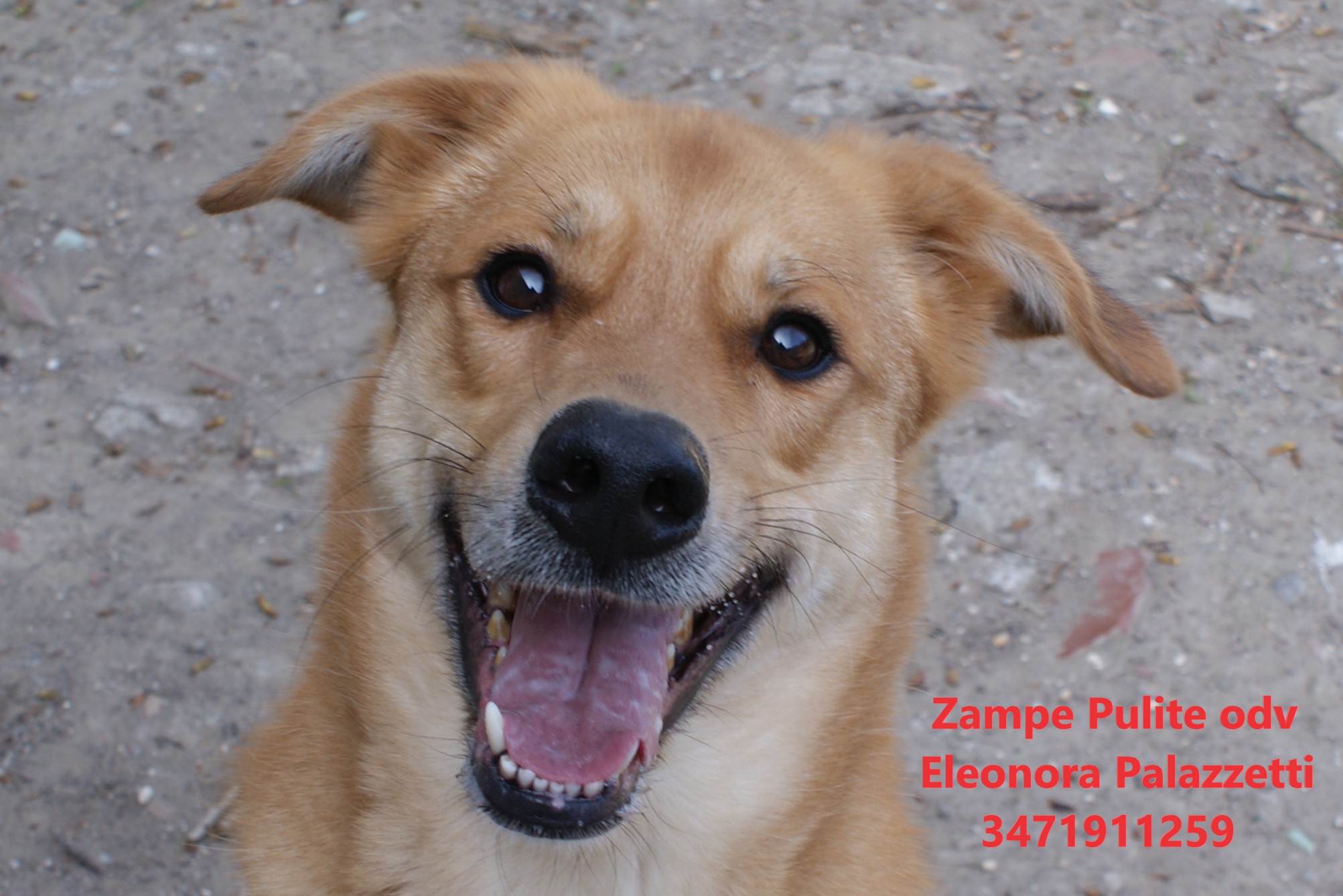 Simba 24.03.2023 n. 9
