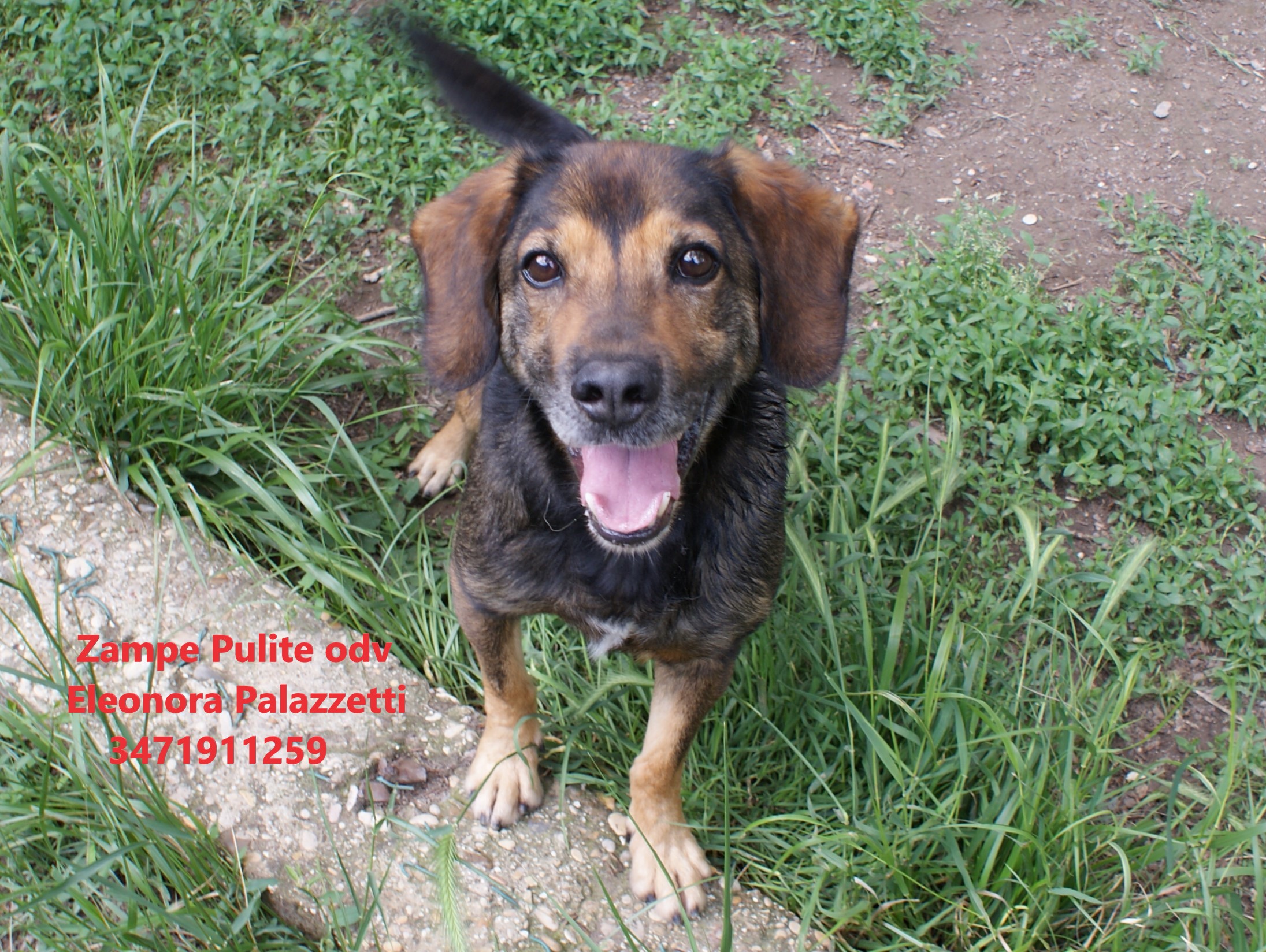 Toby 4.05.2023 n. 5