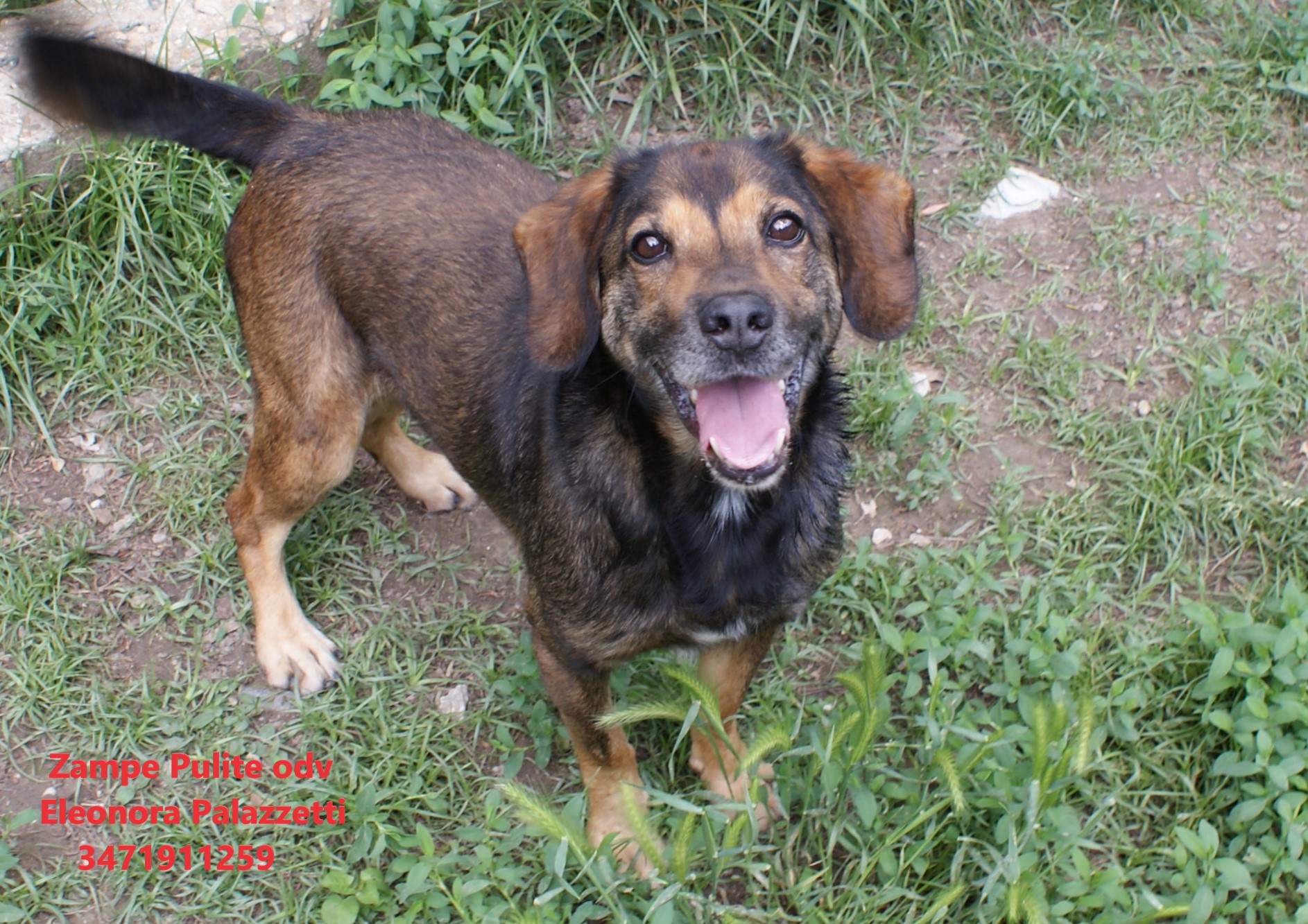 Toby 4.05.2023 n. 8