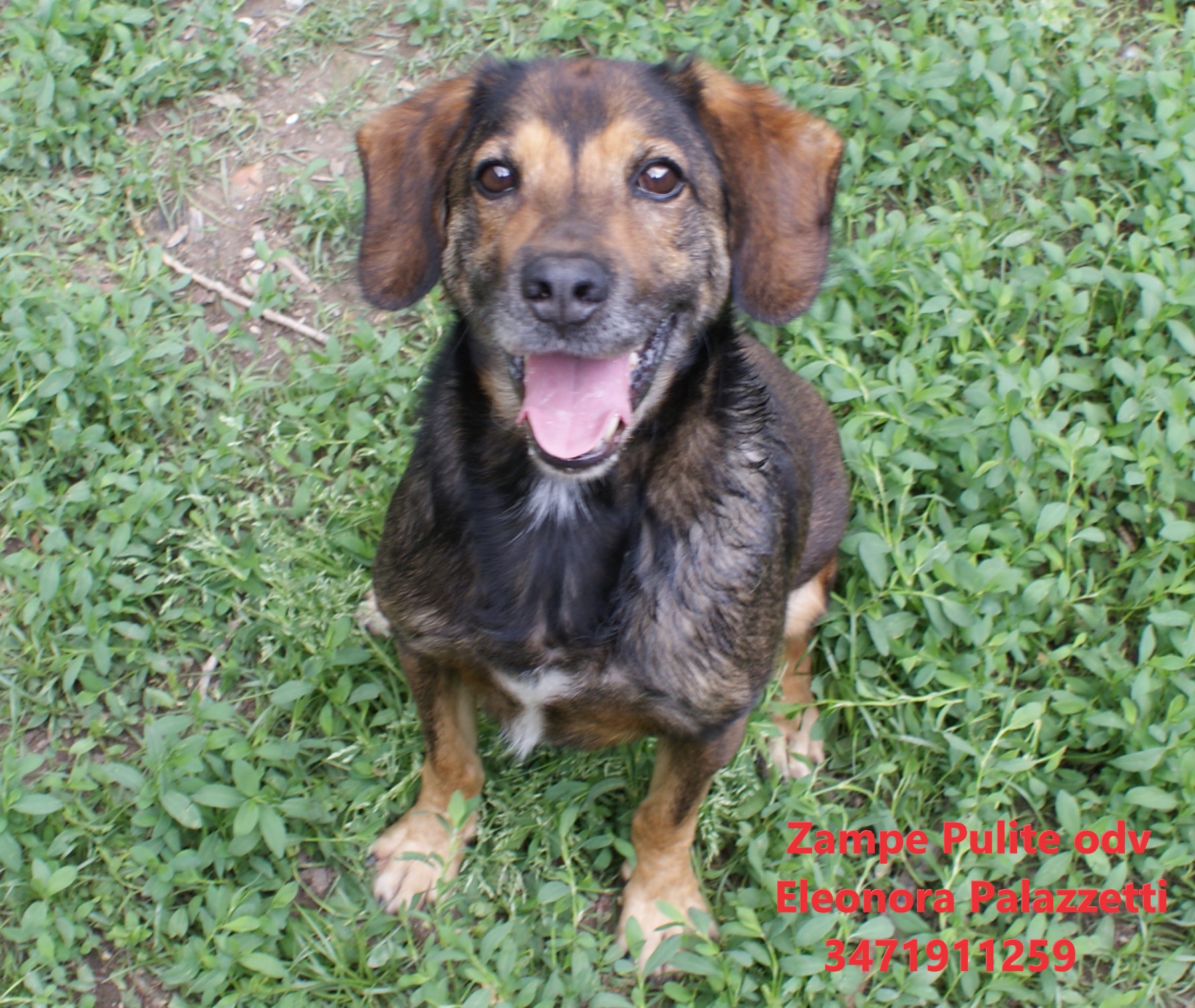 Toby 4.05.2023 n. 9