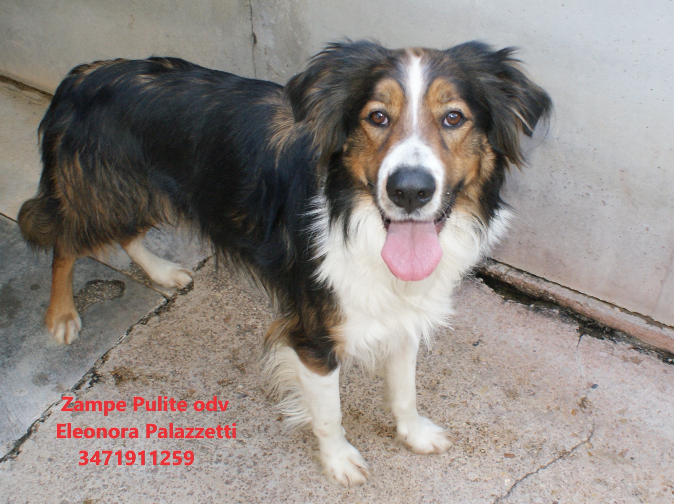 Vasco 7.04.2023 n. 14