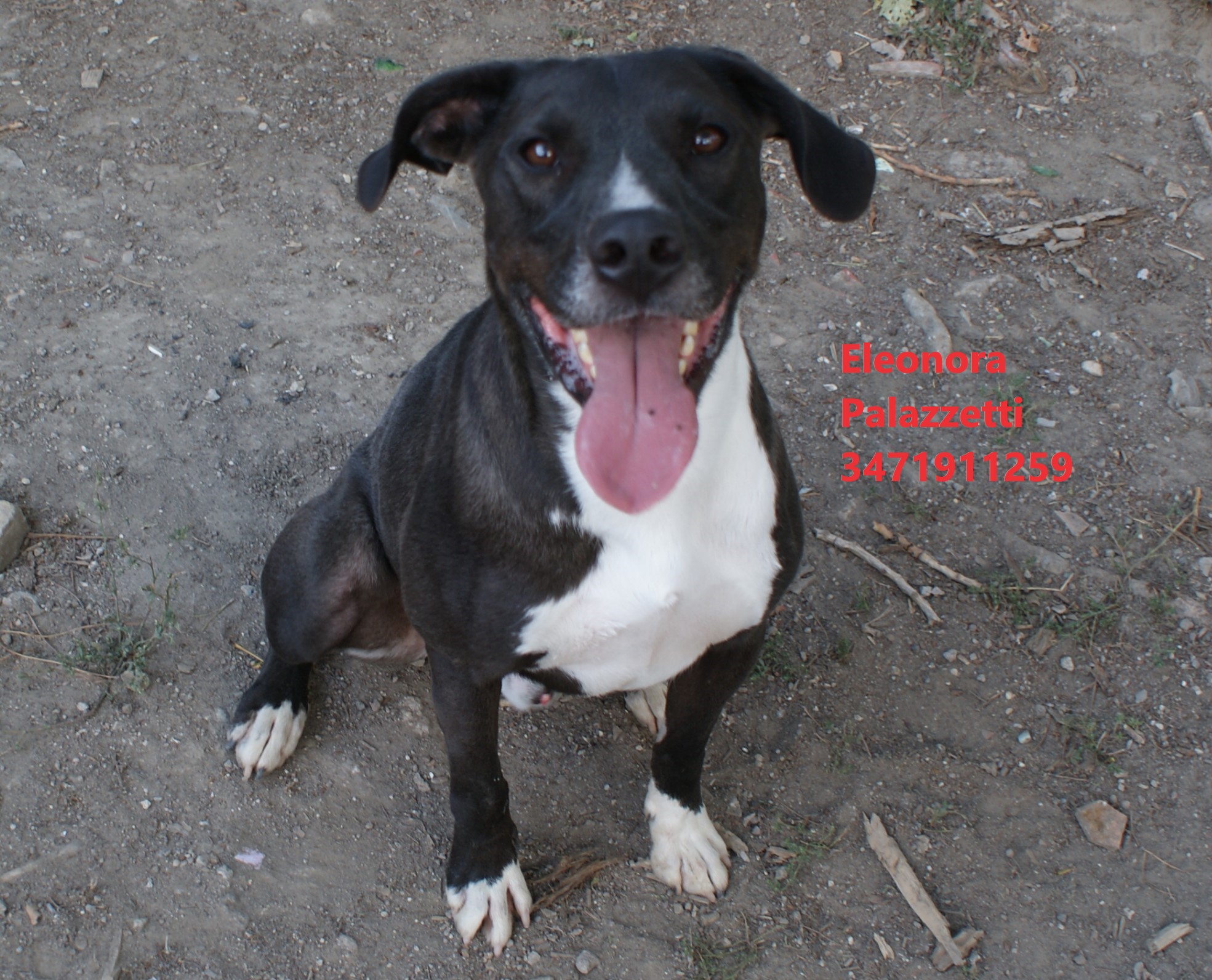 Amos Junior 22.9.2022 n. 7