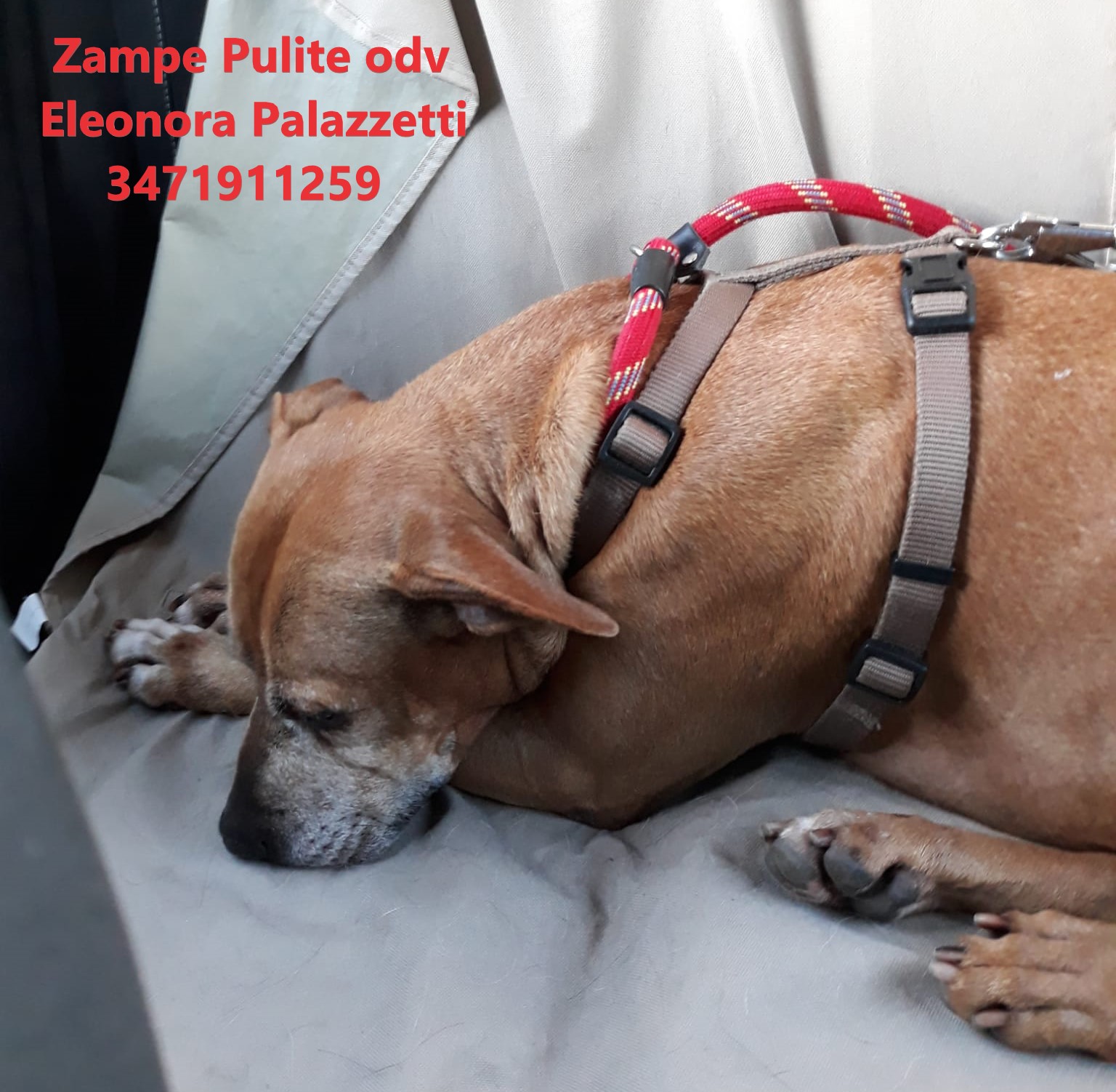 Bulla 14.12.2023 n. 8