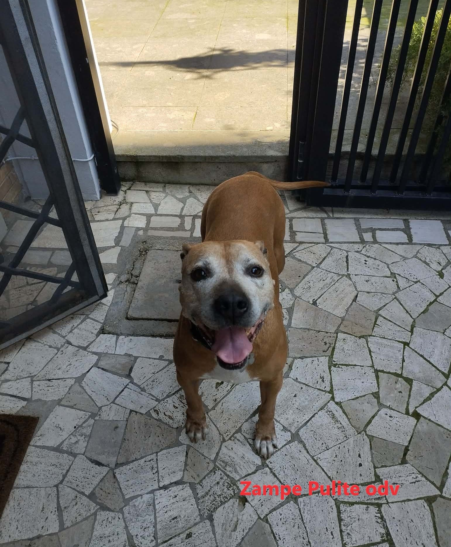 Bulla 26.02.2026 n. 2