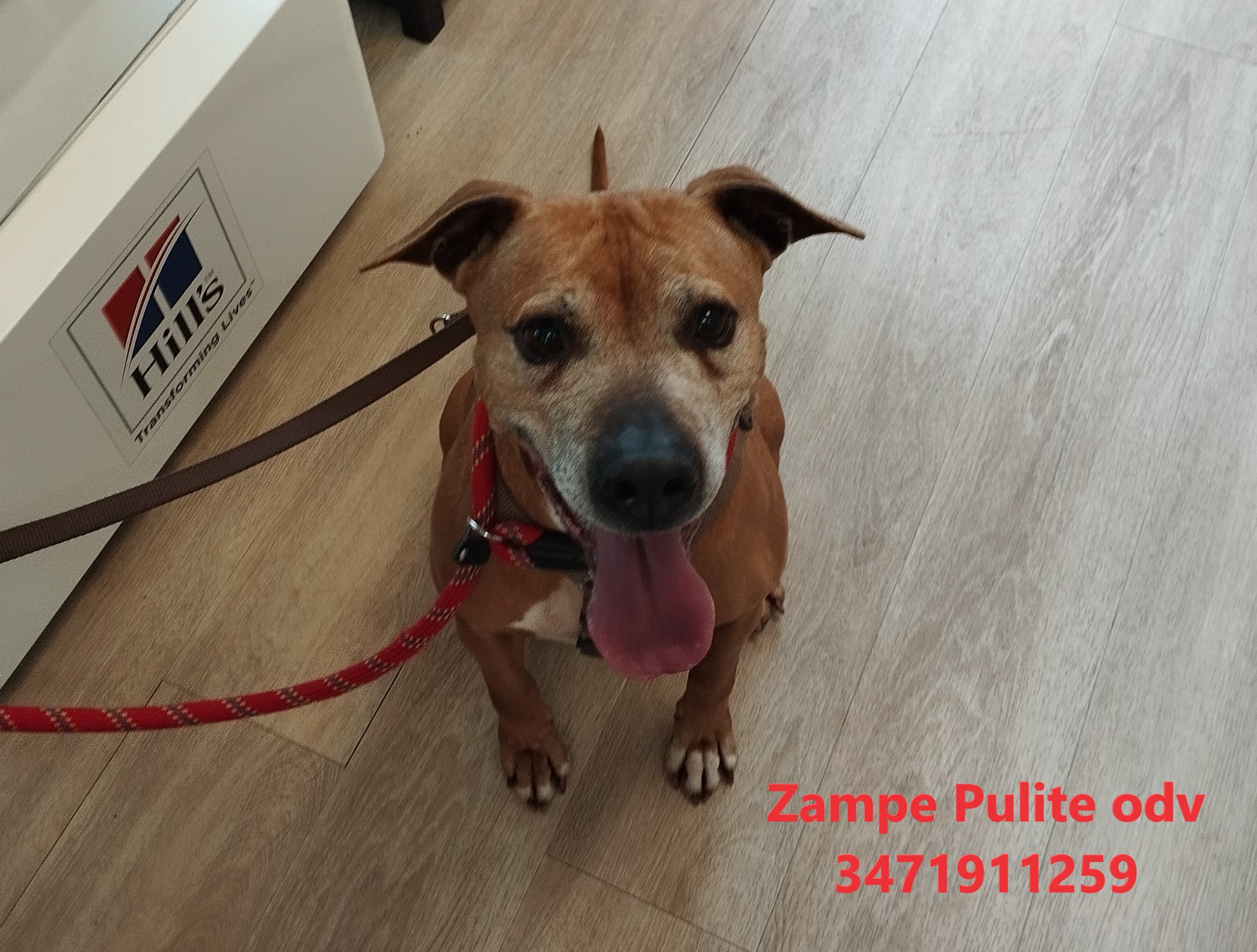 Bulla 3.04.2024 n. 2
