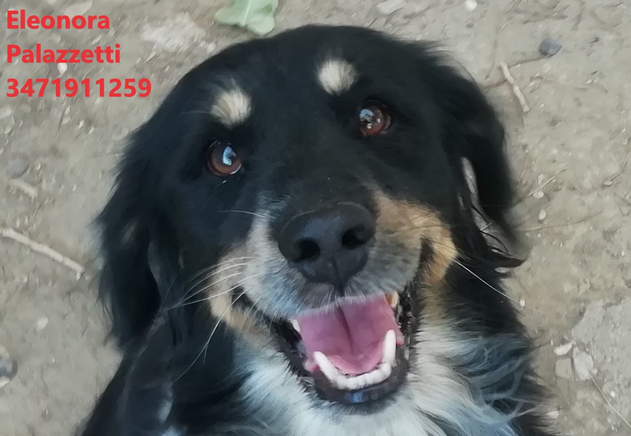 Obbi Wan 22.9.2022 n. 5