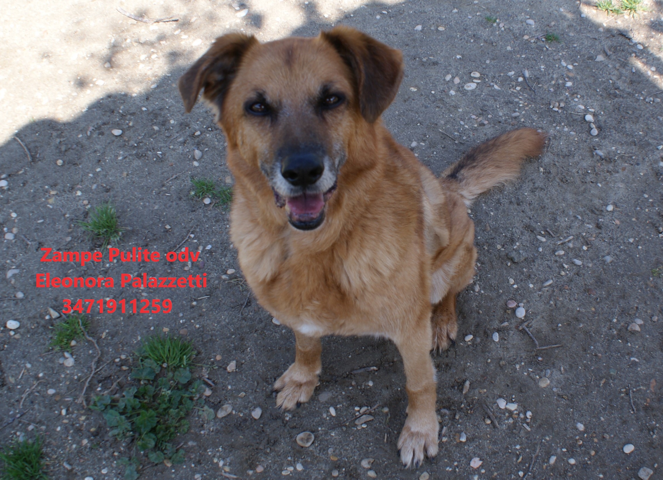 Ottavio 19.04.2023 n. 1
