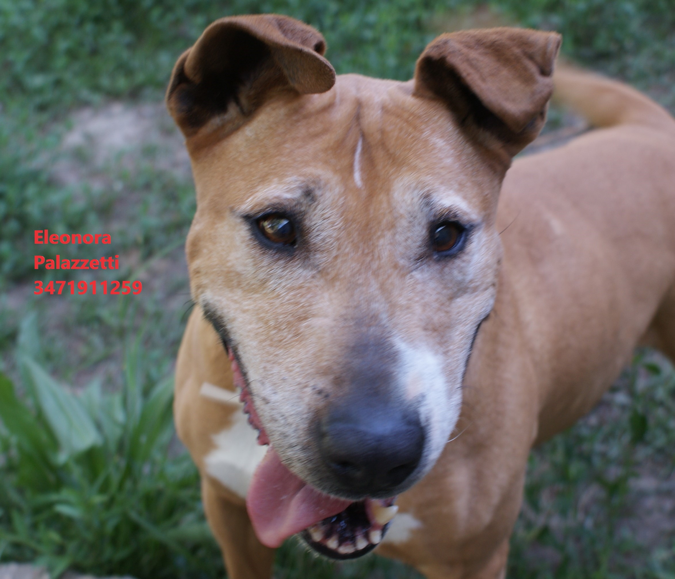 Zaia 13.5.2022 n. 7