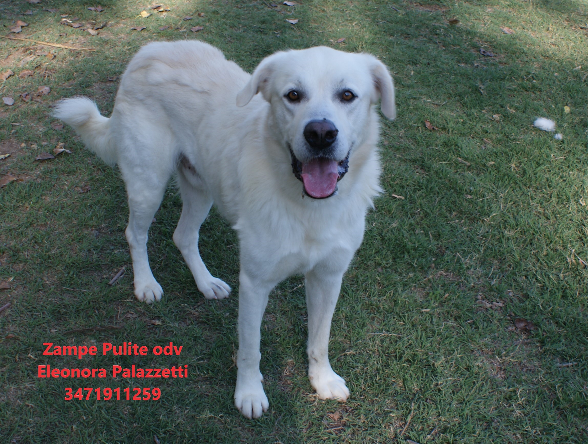 Brutus 20.10.2022 n. 1
