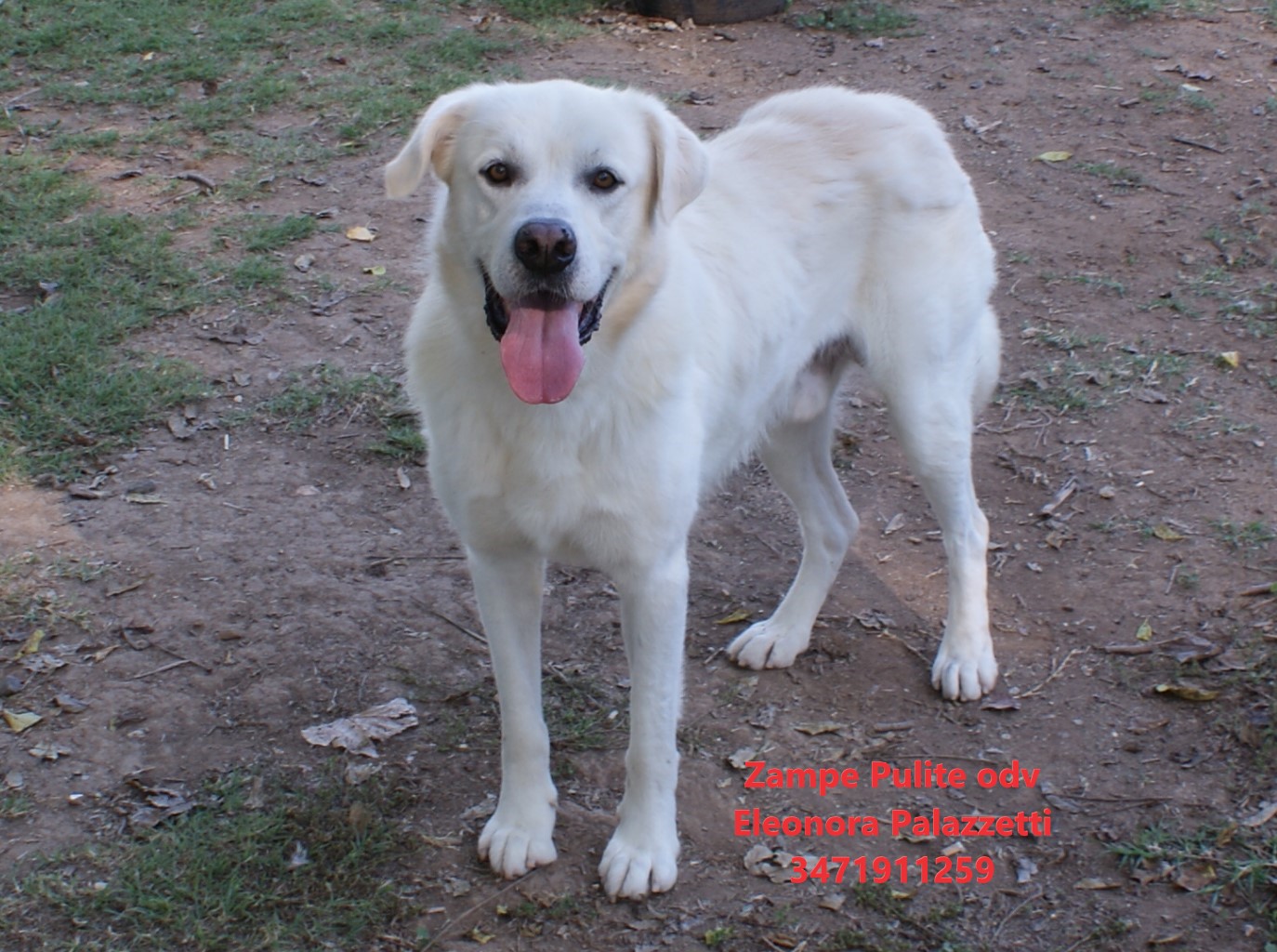 Brutus 20.10.2022 n. 10