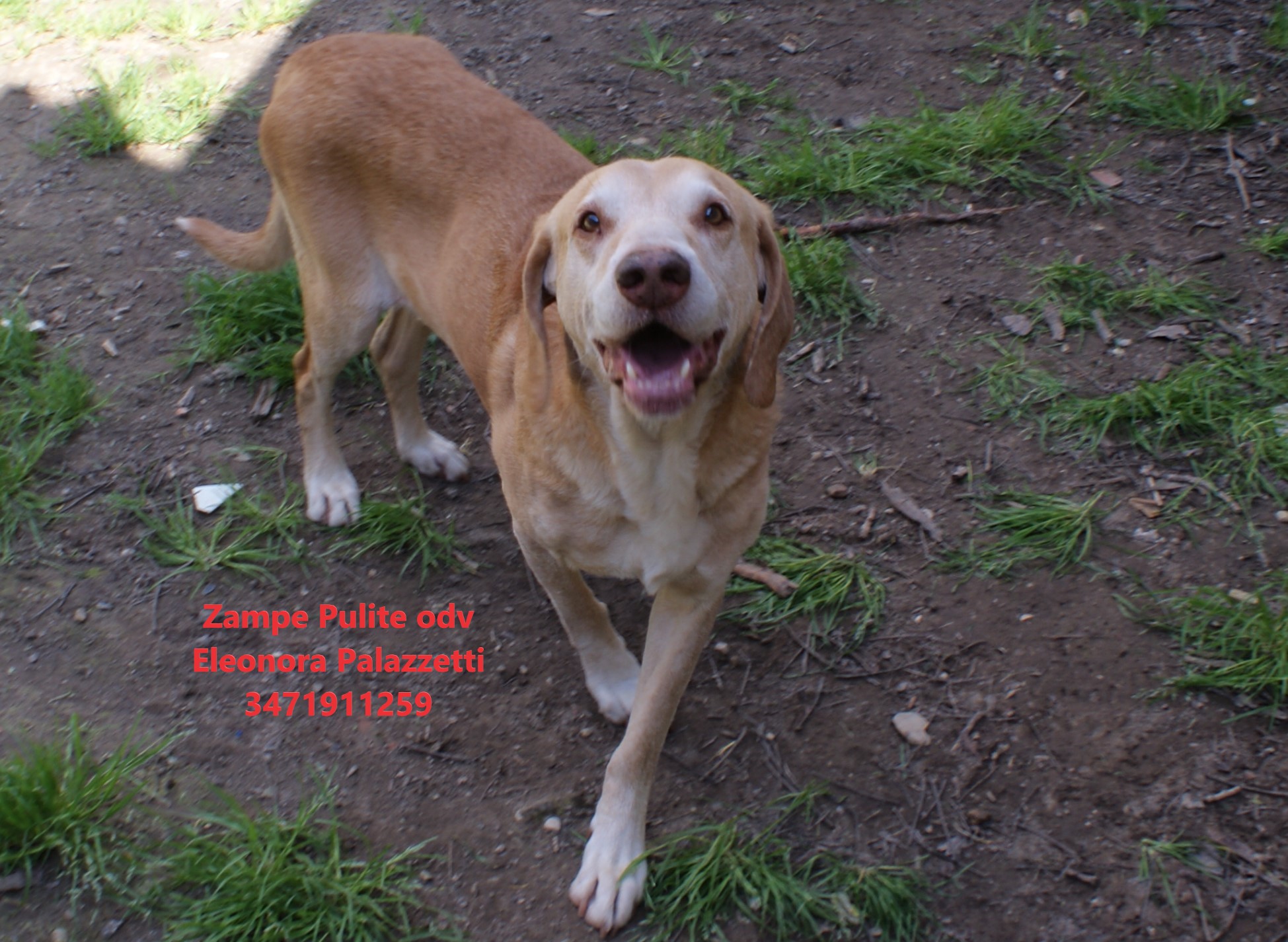 Camillo 26.03.2025 n. 11