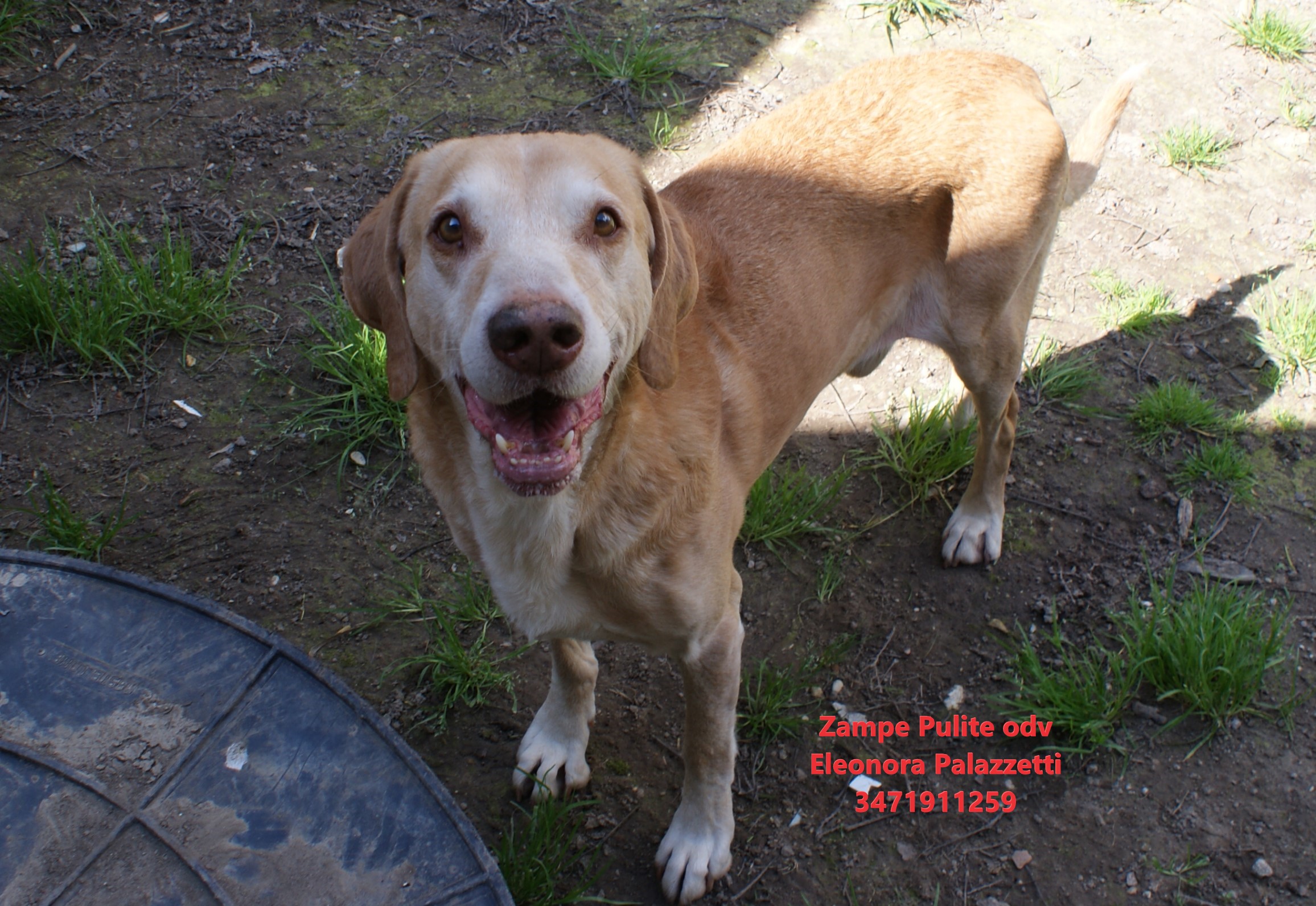 Camillo 26.03.2025 n. 12