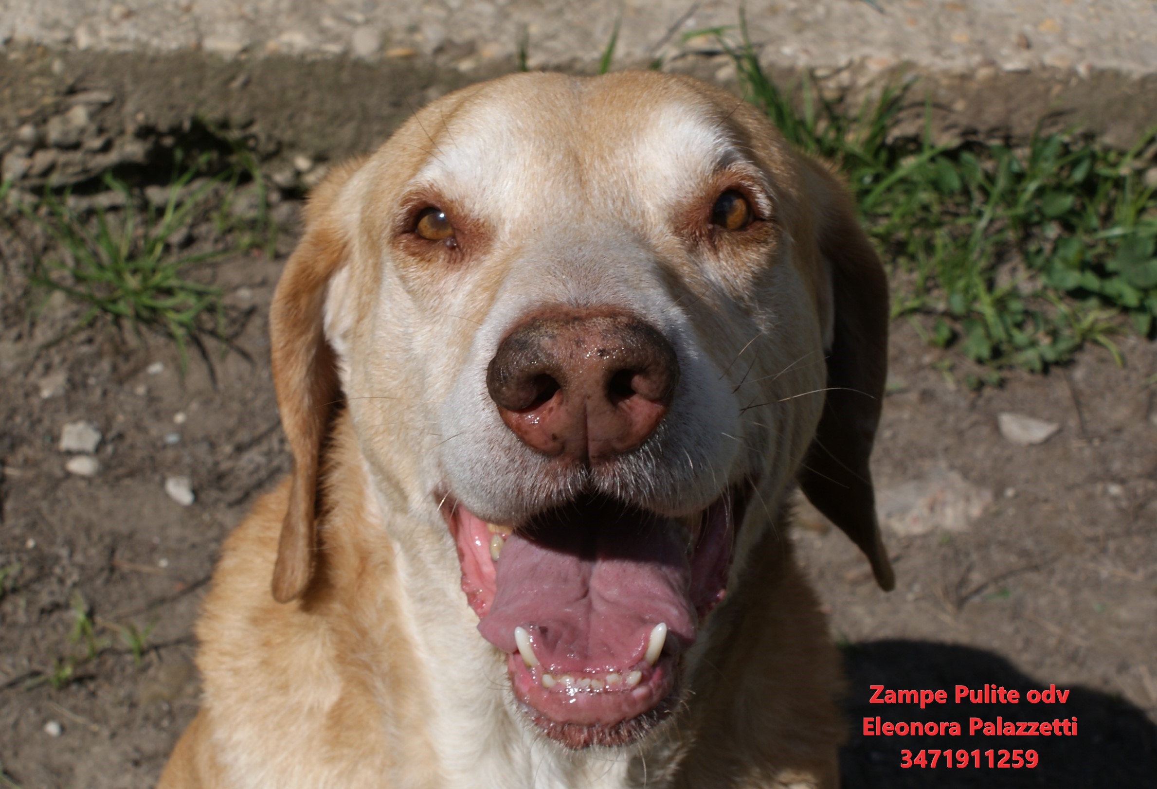 Camillo 26.03.2025 n. 5