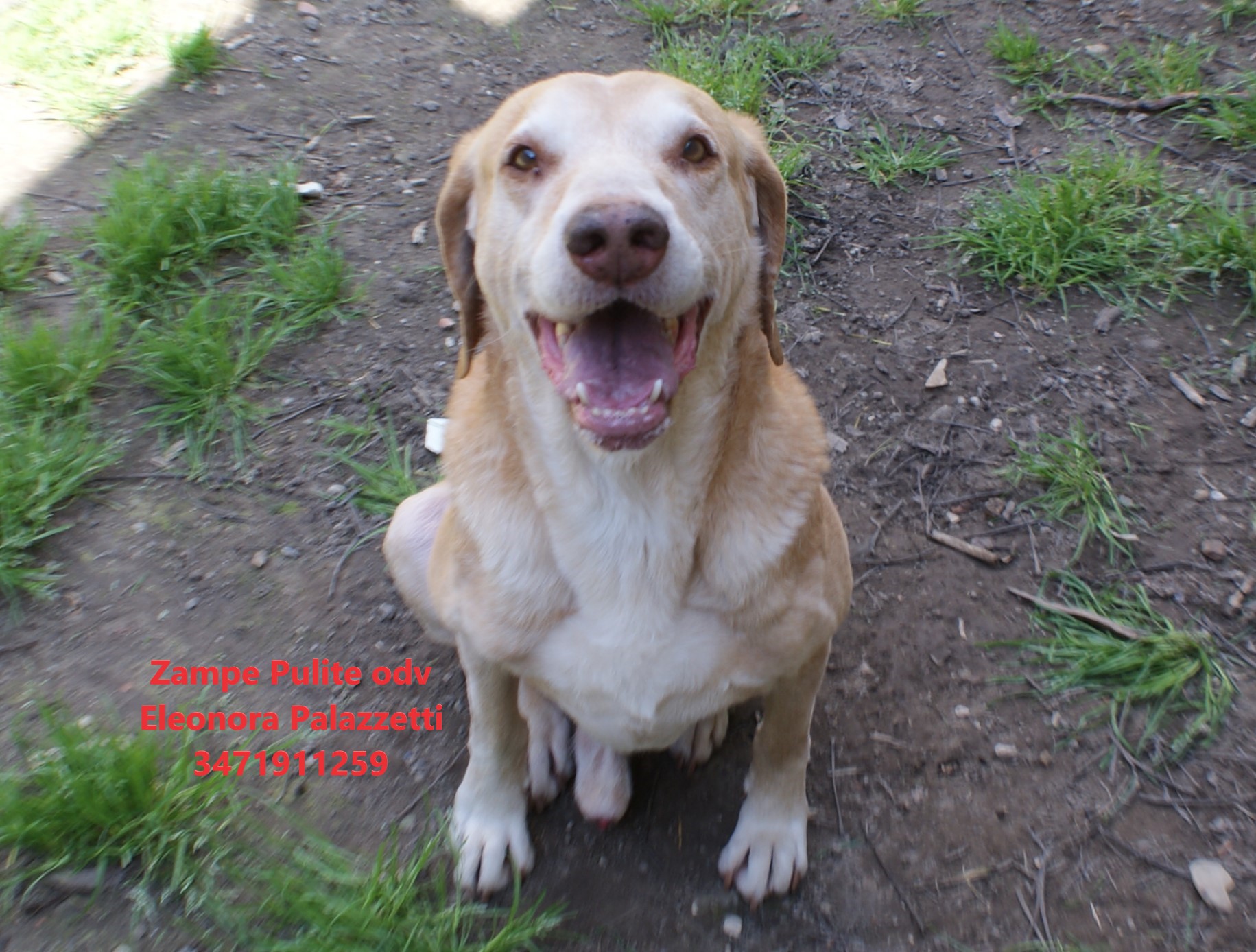 Camillo 26.03.2025 n. 7
