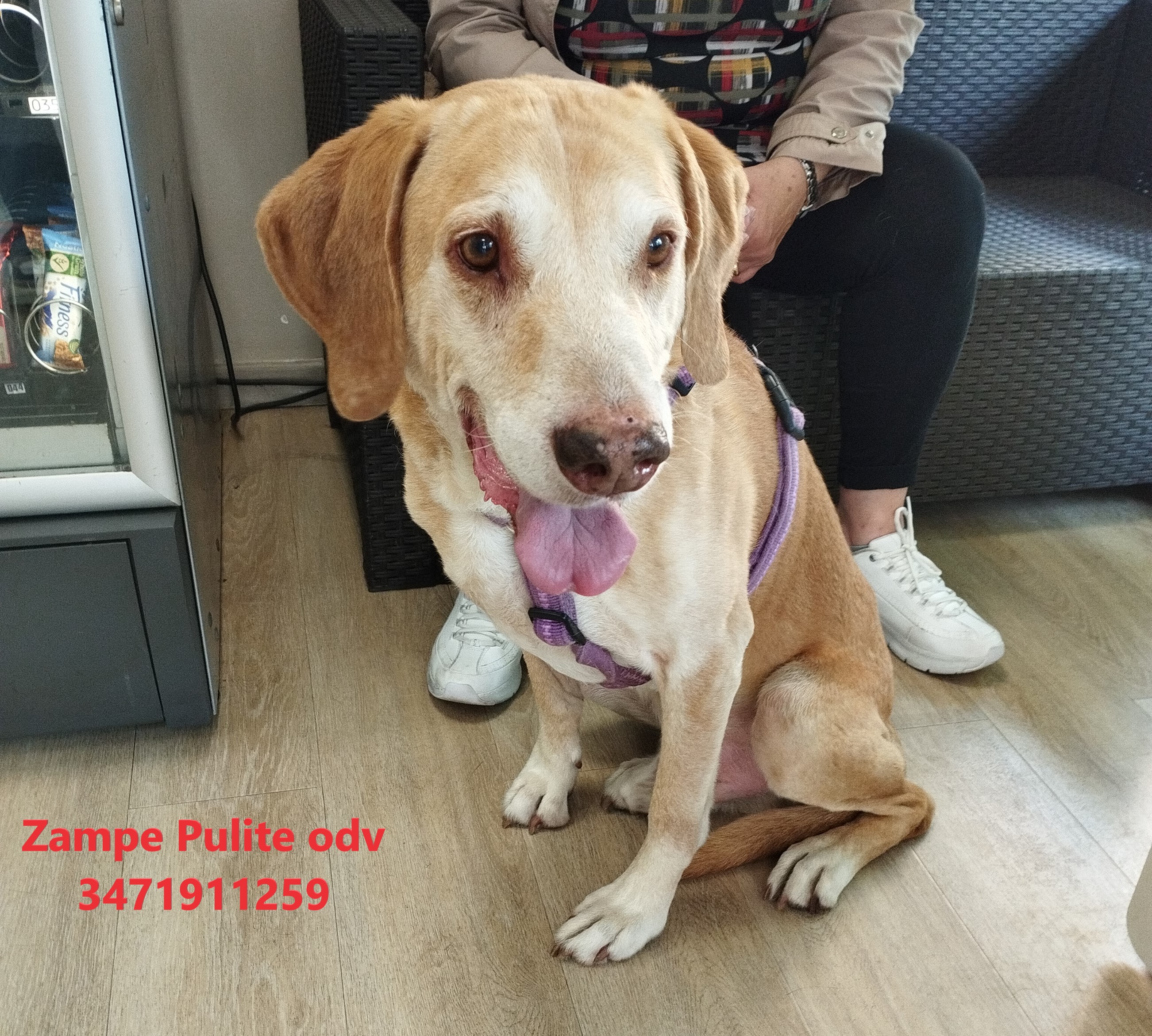 Camillo 27.05.2025 n. 2