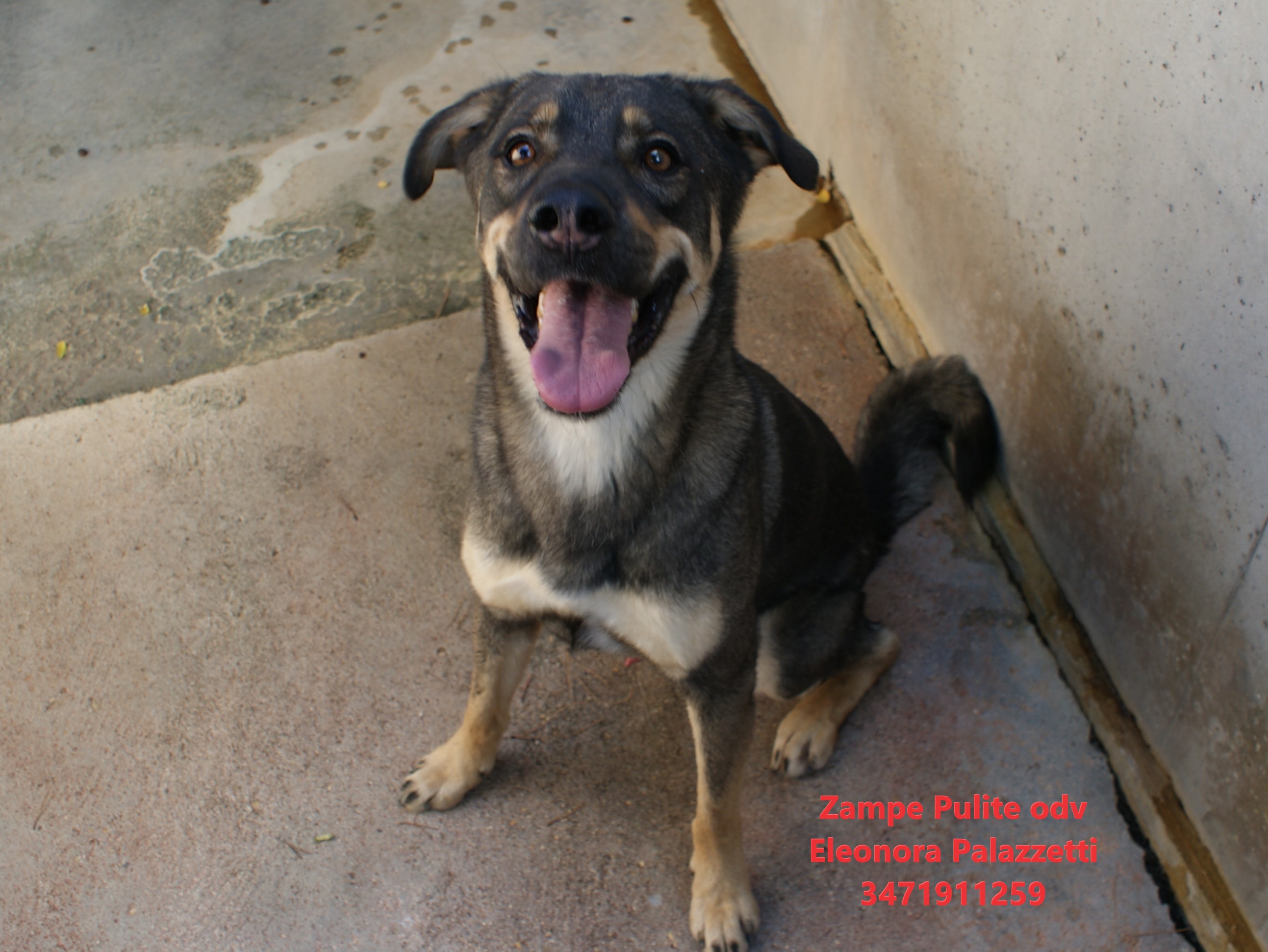 Ettore 14.08.2025 n. 2
