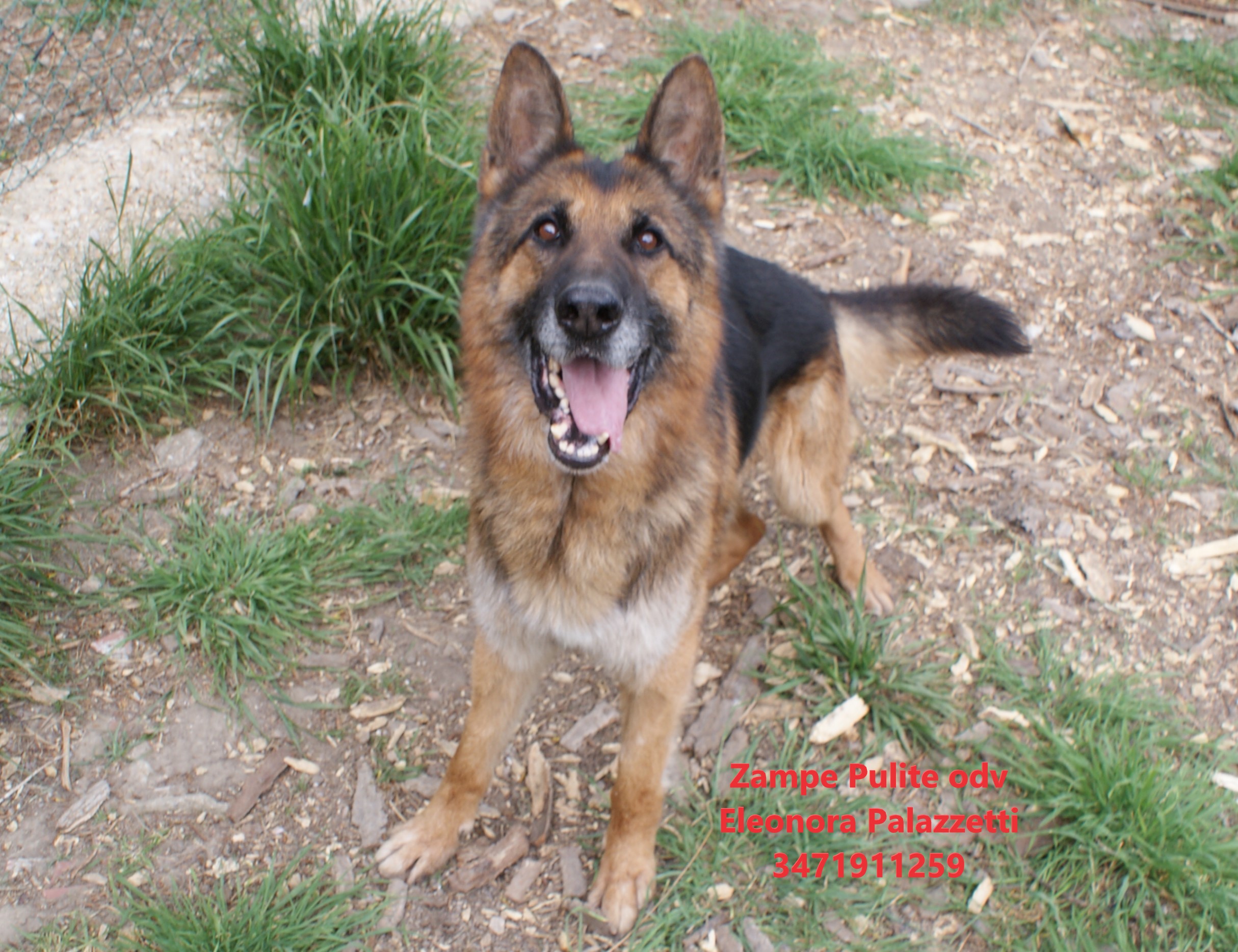 Claus 14.04.2026 n. 4