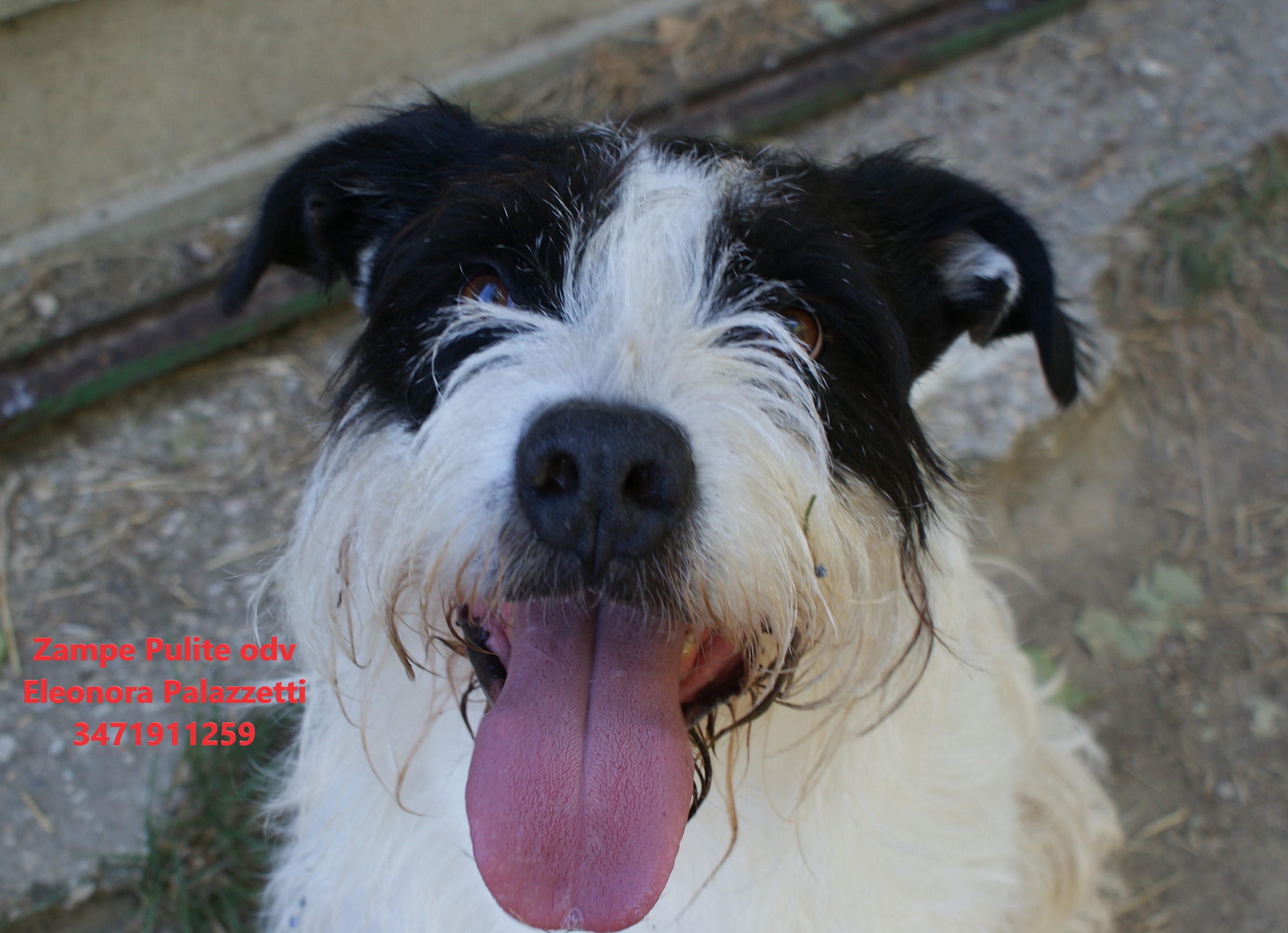 Watson 16.06.2026 n. 5