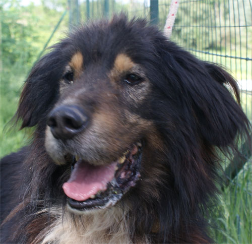 balto_25.04.2010_muso1.jpg