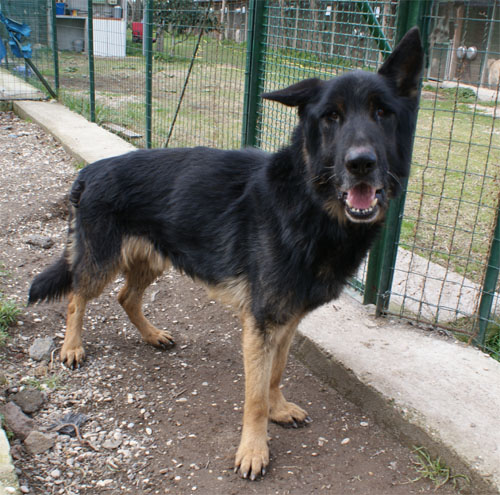 blacky_intero1.jpg