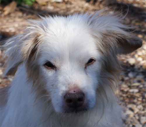 borotalco_26.01.2012_n._2.jpg