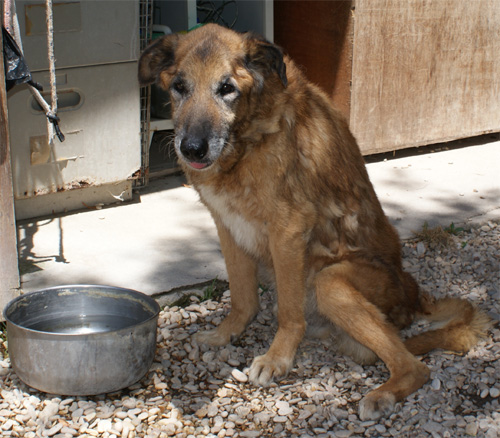cesare_18.06.2012_n._3.jpg