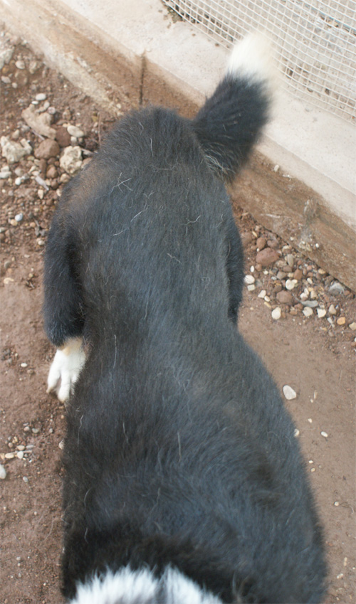 chicco_2.10.2012_n._5.jpg