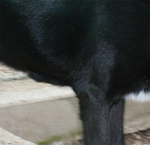 ikeo_11.10.2012_n._3.jpg
