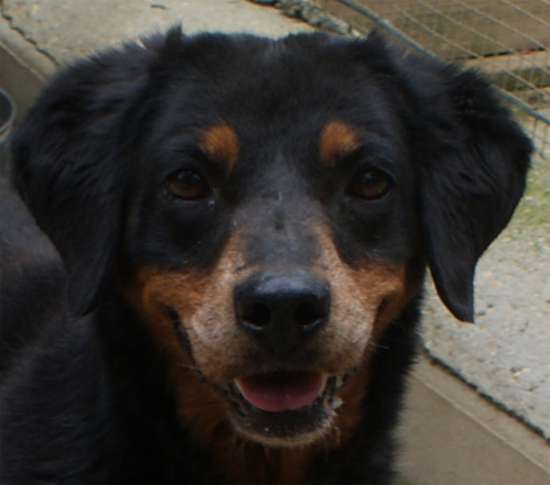 margot_8.06.2011_n._5.jpg
