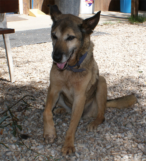 mariuccio_28.08.2012_n._2.jpg