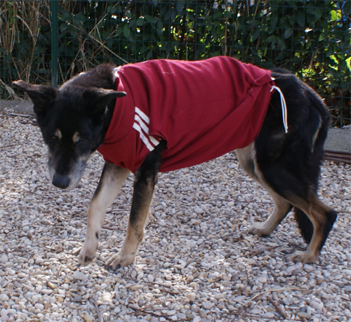 min_22.02.2012_n._2.jpg