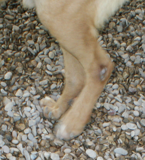 pan_24.05.2012_n._2.jpg