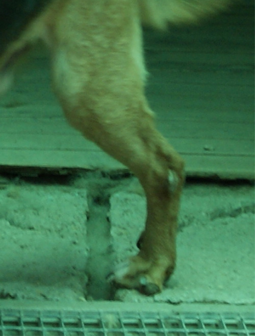 pan_6.07.2012_n._2.jpg