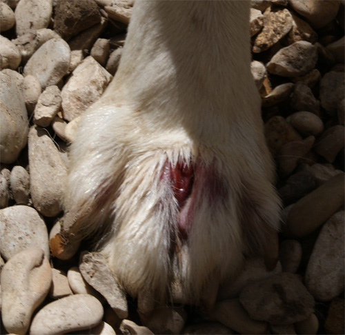 penny_19.04.2012_n._1.jpg