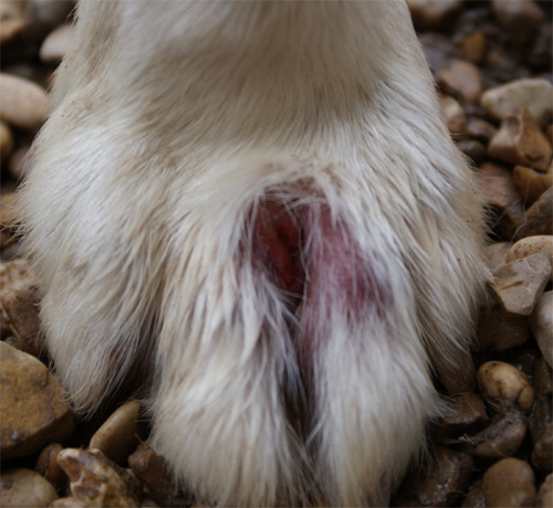 penny_19.04.2012_n._3.jpg